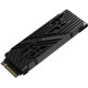 Acer Predator GM7000 Heatsink 4 TB (BL.9BWWR.124)