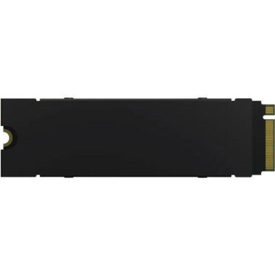 Acer Predator GM7000 Heatsink 4 TB (BL.9BWWR.124)