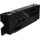 Acer Predator GM7000 Heatsink 4 TB (BL.9BWWR.124)