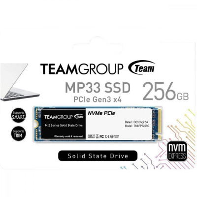 TEAM MP33 256 GB (TM8FP6256G0C101)