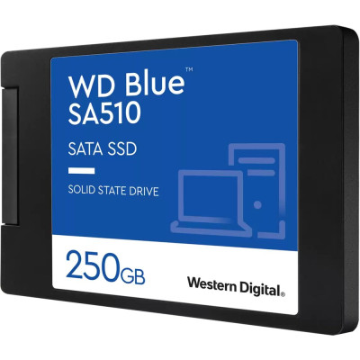WD Blue SA510 250 GB (WDS250G3B0A)