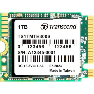 Transcend MTE300S 1 TB (TS1TMTE300S)