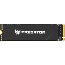 Acer Predator GM9000 4 TB (BL.9BWWR.131)