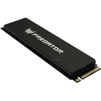 Acer Predator GM9000 4 TB (BL.9BWWR.131)