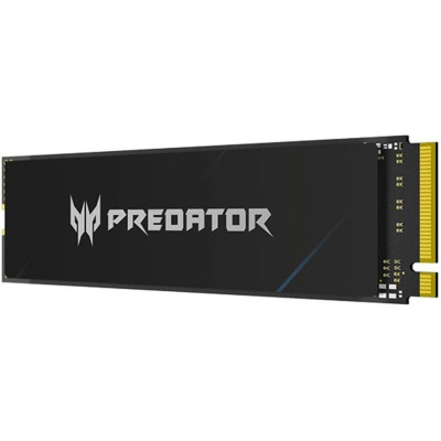 Acer Predator GM9000 4 TB (BL.9BWWR.131)