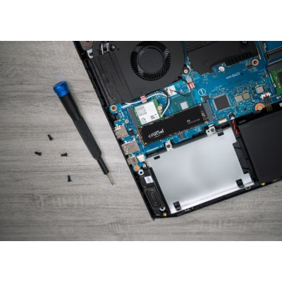Crucial P3 1 TB (CT1000P3SSD8)
