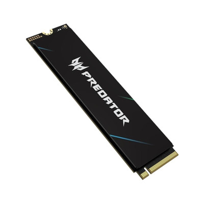 Acer Predator GM9 4 TB (BL.9BWWR.138)