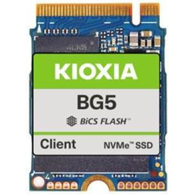 Kioxia BG5 256 GB (KBG50ZNS256G)