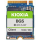 Kioxia BG5 256 GB (KBG50ZNS256G)