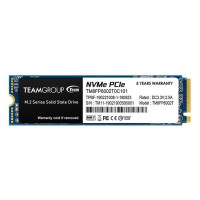 TEAM MP33 2 TB (TM8FP6002T0C101)