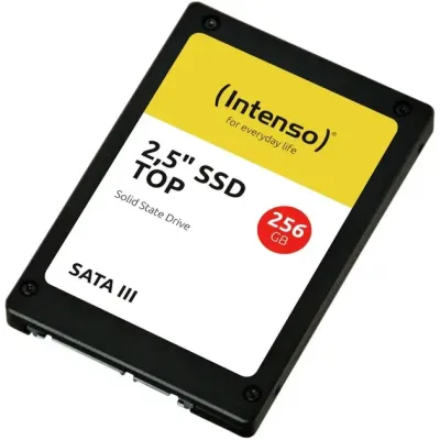 Intenso Top 256 GB (3812440)