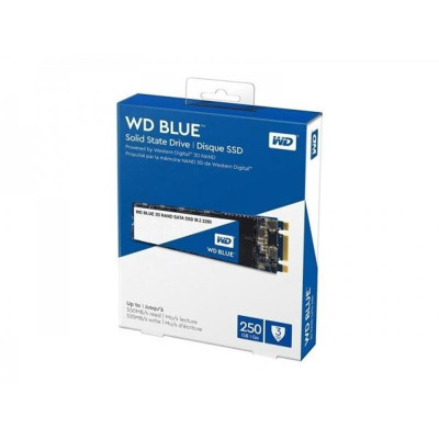 WD SSD Blue M.2 250 GB (S250G2B0B)