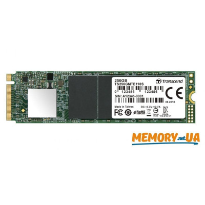 Transcend 110S 256 GB (TS256GMTE110S)