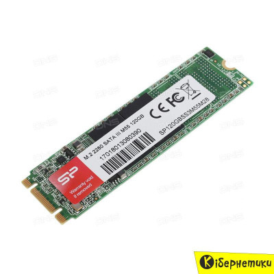 Silicon Power M55 120 GB (SP120GBSS3M55M28)