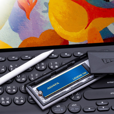 ADATA LEGEND 700256 GB (ALEG-700-256GCS)