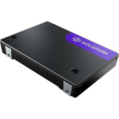 Solidigm D7-PS1010 3.84 TB (SB5PH27X038T001)
