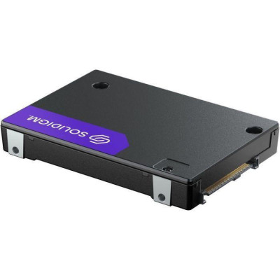 Solidigm D7-PS1010 3.84 TB (SB5PH27X038T001)