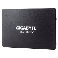 GIGABYTE GP-GSTFS31256GTND