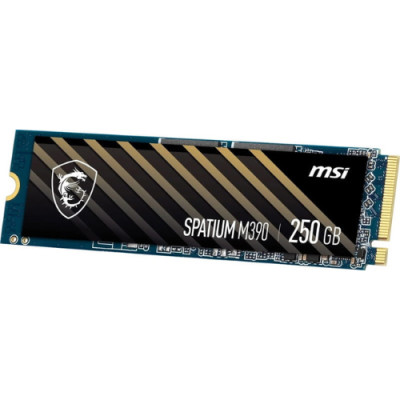 MSI Spatium M390 250GB (S78-4409PY0-P83)
