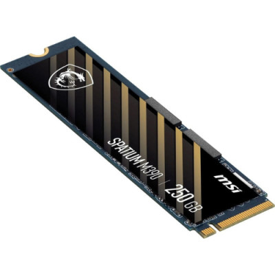 MSI Spatium M390 250GB (S78-4409PY0-P83)