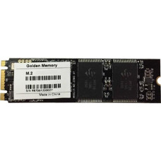 Golden Memory 256 GB (GM2280256G)
