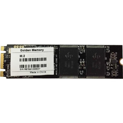 Golden Memory 256 GB (GM2280256G)