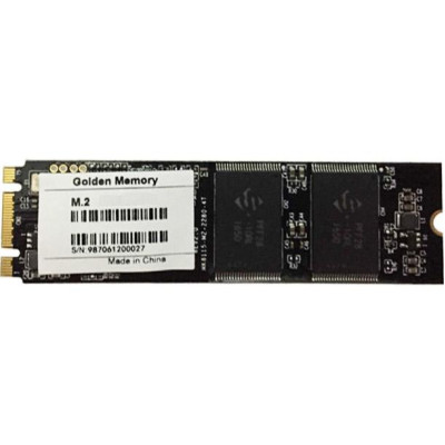 Golden Memory 256 GB (GM2280256G)