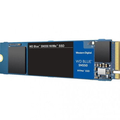 WD Blue SN550 1 TB (WDS100T2B0C)