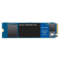 WD Blue SN550 1 TB (WDS100T2B0C)
