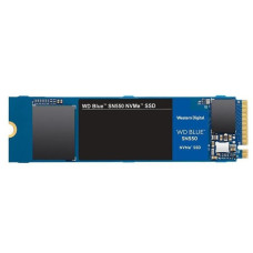 WD Blue SN550 1 TB (WDS100T2B0C)