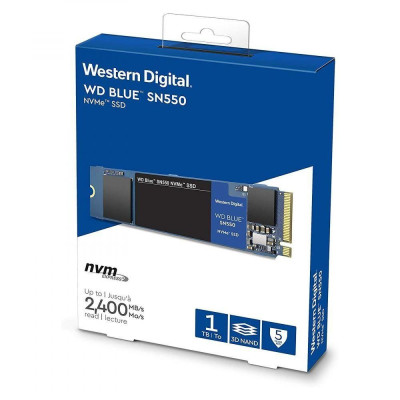 WD Blue SN550 1 TB (WDS100T2B0C)