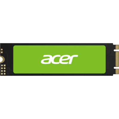 Acer RE100 M.2 1 TB (BL.9BWWA.115)
