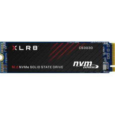 PNY CS3030 1 TB (M280CS3030-1TB-RB)