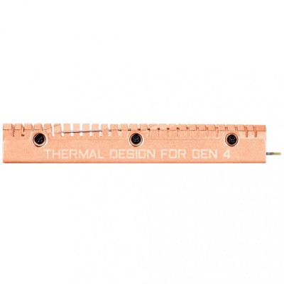 GIGABYTE AORUS NVMe Gen4 SSD 2 TB (GP-ASM2NE6200TTTD)