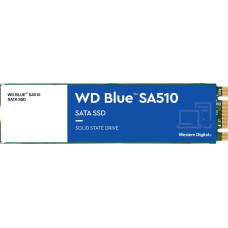 WD Blue SA510 M.2 500 GB (WDS500G3B0B)