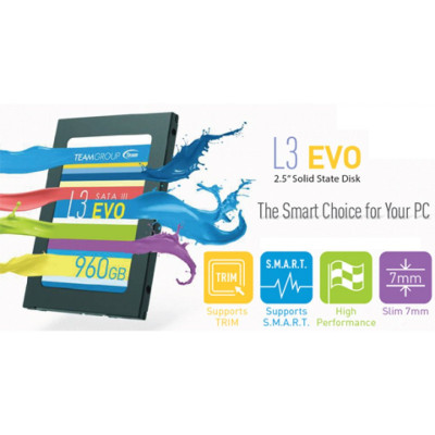 TEAM L3 Evo 240GB (T253LE240GTC101)