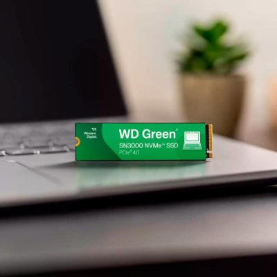 WD Green SN3000 500 GB (WDS500G4G0E)