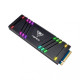 PATRIOT Viper VPR100 512 GB RGB (VPR100-512GM28H)