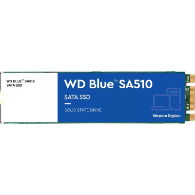 WD Blue SA510 M.2 1 TB (WDS100T3B0B)