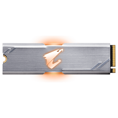 GIGABYTE AORUS RGB M.2 NVMe SSD 256 GB (GP-ASM2NE2256GTTDR)