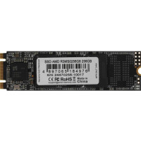 AMD Radeon R3 256 GB (R3MS0256G8)