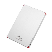 SK hynix SL308 250 GB (HFS250G32TND-N1A2A)