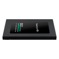 TEAM GX2 256 GB (T253X2256G0C101)