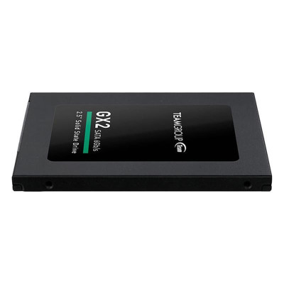 TEAM GX2 256 GB (T253X2256G0C101)