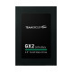 TEAM GX2 256 GB (T253X2256G0C101)