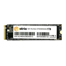 ATRIA 1024GB X500S (ATNVMX500S/1024)