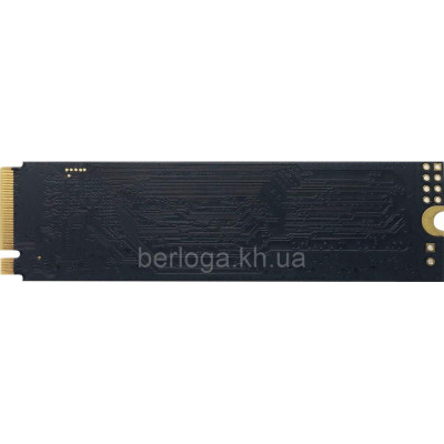 PATRIOT P300 128 GB (P300P128GM28)