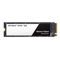 WD Black SSD 1 TB (WDS100T2X0C)