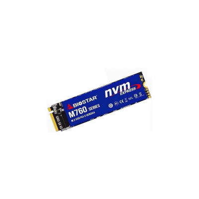 Biostar M760 256GB (M760-256GB)
