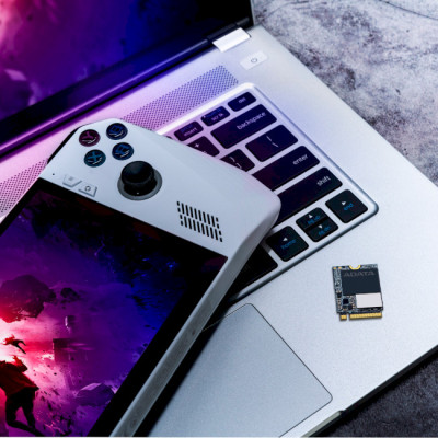 ADATA GAMMIX S55 512 GB (SGAMMIXS55-512G-C)